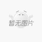 瑞福祥跑車帶鋸之一款吸引人且具備卓越性能的跑車